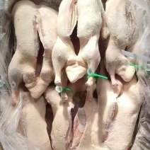 开胸白条鸭