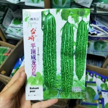 平顶威龙绿苦瓜种子农户种植户专用果实翠绿果肉小果腔小