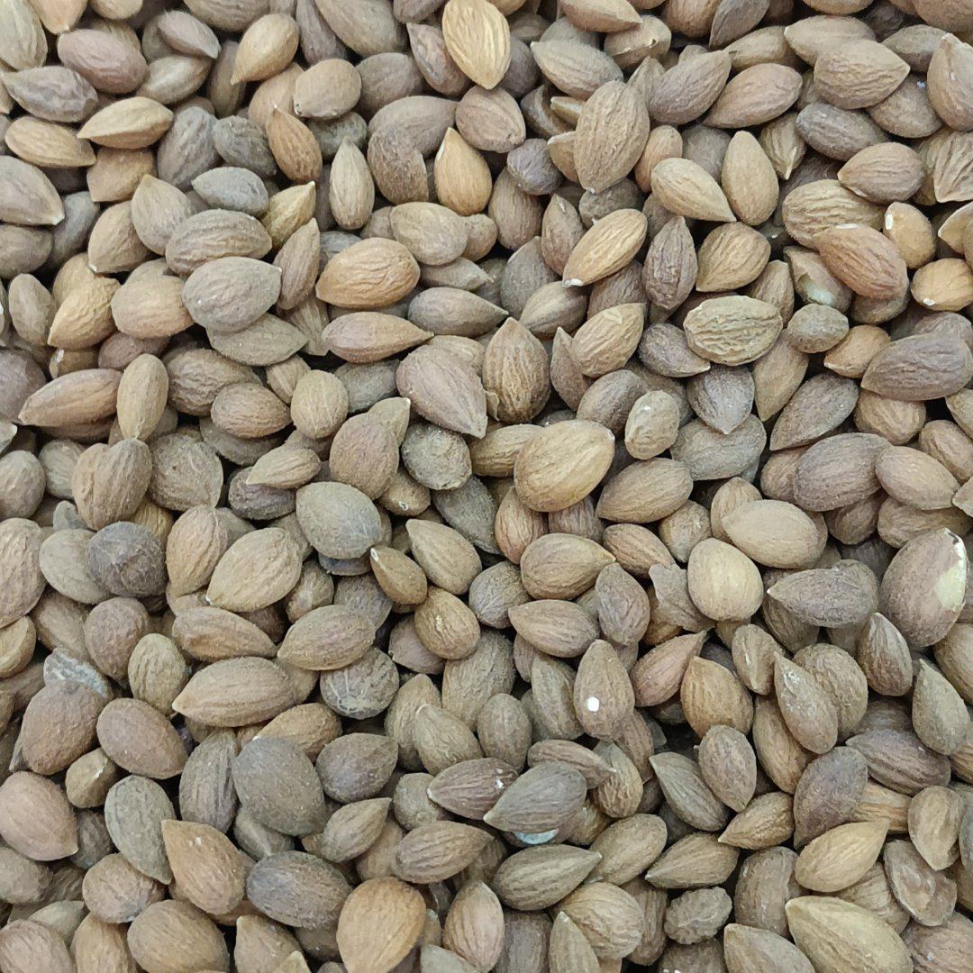 [桃仁批发]云南昆明官渡区桃仁 29.90元/斤桃仁 _ 一亩田