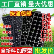穴盘育苗盘育苗盒器苗木多肉育苗箱育苗盆托盘营养钵育苗杯