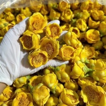 金花茶批发产地直销金茶花直供对接电商直播