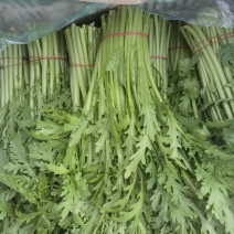 精品茼蒿！规格齐全！产地直发，量大从优欢迎来电咨询！