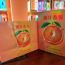 贡品春见耙耙柑天地盖礼盒包装
