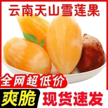 云南天山雪莲果新鲜黄心雪莲果水果新鲜应季一件代发包邮