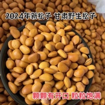 2025年甘肃陇南野生华山开口松子新货，批发零售