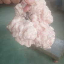 大口鱼花