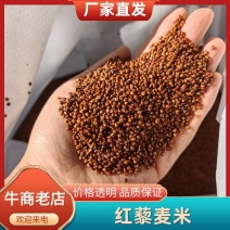 红藜麦米大量批发，产地直发，支持一件代发