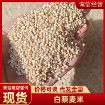 青海白藜麦米大量批发产地直发支持一件代发