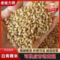 青海白青稞米电商**，大量批发，支持一件代发
