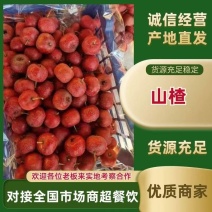 大金星山楂基地直发山楂已经成熟，个大味美，酸酸甜甜量大从优