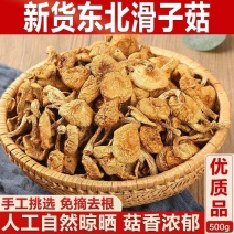 【无干燥剂】滑子菇干货农家新货滑子小鸡炖蘑菇