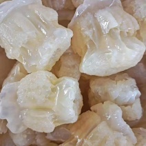 批发海蜇，一手货源，量大优惠