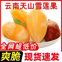 云南天山雪莲果新鲜黄心雪莲果水果新鲜应季一件代发包邮
