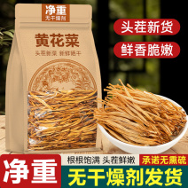 【净重无干燥剂】黄花菜新鲜干货日晒无熏硫金针黄花菜批发价