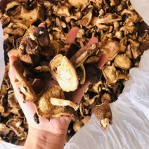 优质干香菇一手货源质量保证现货秒发