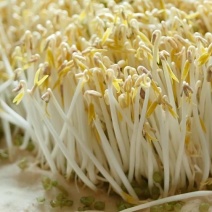 黄豆芽、绿豆芽