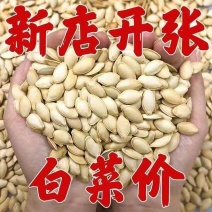 正宗内蒙大颗粒纸皮南瓜子现炒椒盐原味南瓜籽批