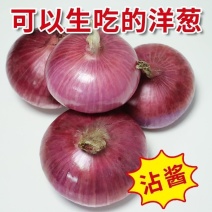 紫红皮洋葱10斤新鲜洋葱现挖洋葱5斤圆葱头批发农家自种蔬