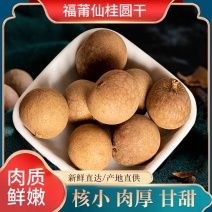 福建桂圆干精品质量保证，供超市电商批发市场，全国可发