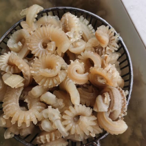 牛鞭花火锅食材开袋即涮牛鞭花边角火锅串串麻辣烫