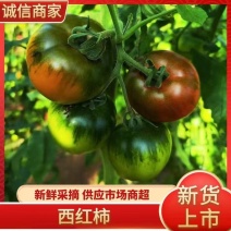 【精品】草莓西红柿，精品西红柿大量上市，品质放心欢迎来电咨询
