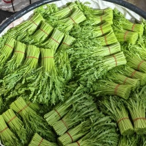 蔬菜