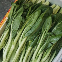 连州菜心