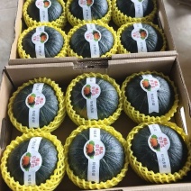 【特惠】贝贝南瓜一件代发/新店特惠