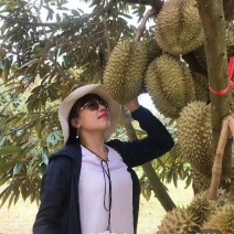 金枕榴莲，一手货源产地批发坏果包赔包售后包邮