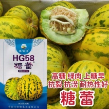 糖蕾甜瓜种子花皮绿肉高糖特甜上糖早露地抗裂