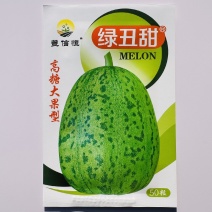 丰信恒绿丑甜甜瓜种子口感超甜绿肉甜瓜种籽大果高糖产量高