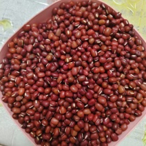 红小豆