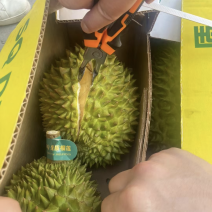 A果B果都有