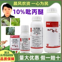 阿猛10%吡丙醚悬浮剂杀虫卵剂蚊蝇像介壳虫白粉虱蚜虫蓟马