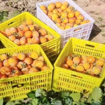 富平流心柿饼