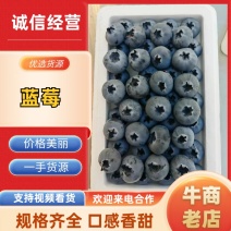 云南花香蓝莓L25优瑞卡L11珠宝F642品质保证