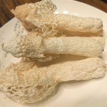 贵州红托竹荪产地直发量大从优干货蘑菇