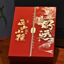 武夷山正山小种特级红茶桐木关清香型春茶茶叶散装罐装礼盒装
