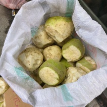 贵州瓮安县自家种的大头菜