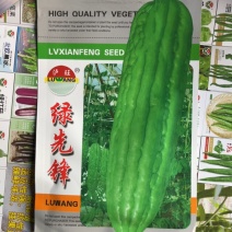 绿先锋青苦瓜