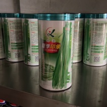 夏季印象绿豆角