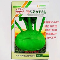 三号早熟水果苤蓝种子扁圆翠绿光亮纤维少肉质脆甜品质佳苤蓝