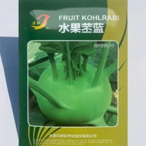 水果苤蓝早熟性好抗逆性强球形扁圆口感甜脆质优苤蓝种子