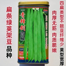 青锋剑四扁架豆种子扁条绿荚四季豆种子无筋豆籽绿扁豆种子不