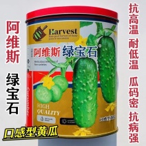蓟农阿维斯绿宝石黄瓜种子早熟翠绿短棒形水果黄瓜种籽刺瘤少