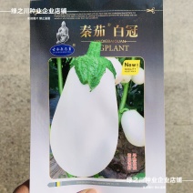 秦茄白冠茄子种子早熟白皮白肉卵圆茄抗病高产白色灯泡茄种子