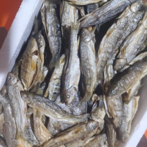 溪石斑鱼干