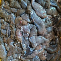 白莲鱼籽厂家大量批发，专车价格可淡