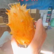 火参果