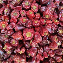 贵州灯笼干辣椒灯笼椒草莓椒红干辣椒/量大价优
